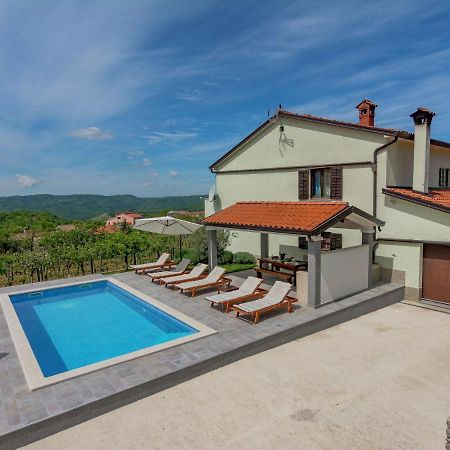 Spacious Apartment In Pazin With Pool Cerovlje エクステリア 写真